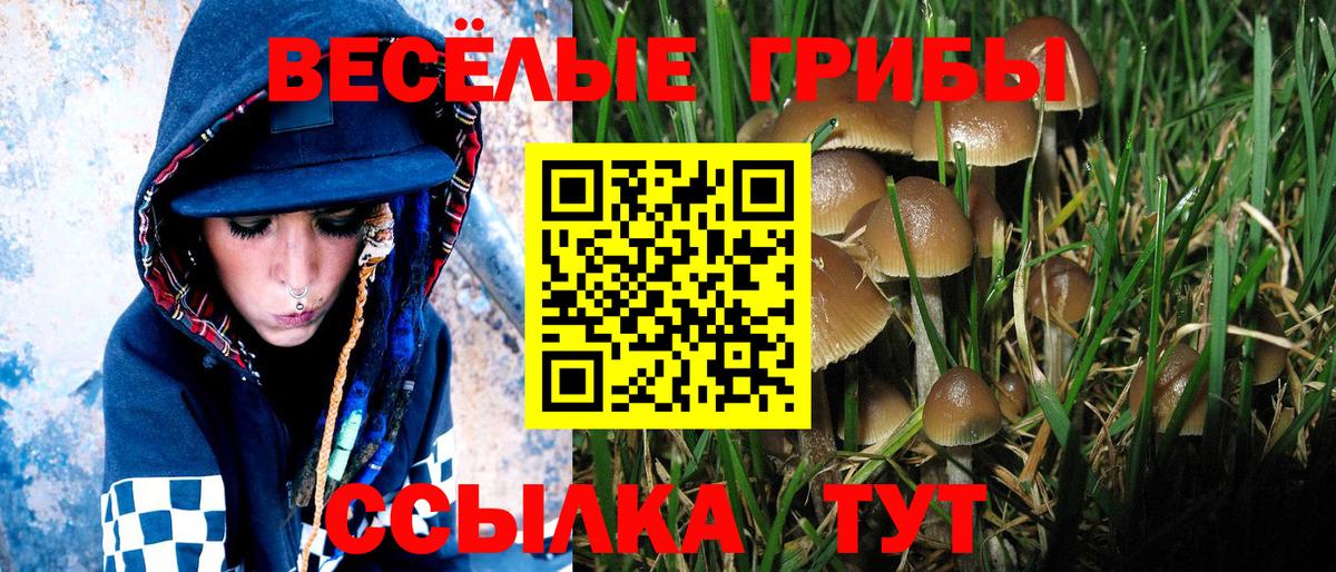 Галлюциногенные грибы ЛСД  Псилоцибиновые грибы GOLDEN TEACHER  Нарткала  Вход с VPN 